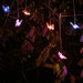 Solar Butterfly Panel Curtain Light with Color Changing LED (Set of 10)