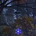 Single 6" LED Solar Tree Light Style 6 in Blue and White