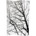 6 Feet Tall Trees Double Sided Room Divider