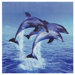 Three Rising Dolphins Canvas Wall Art - 31.5" x 31.5"