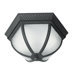 Glenwood 2 Light Outdoor Flush Mount