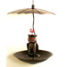 Copper Cat with Cardinal Feeder