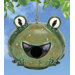 Frog Bird House