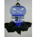 Bird Bath and Waterer