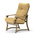 Villa Deep Seating Dining Arm Chair with Cushion