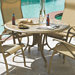 Werzalit Top Tables 48'' Round Werzalit Table