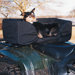 ATV Dog Along