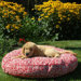 Pool & Patio Round Outdoor Dog Bed