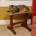 Craftsman Series Single Seat Wooden Cat Perch
