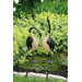 Geese Statue
