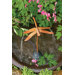 Flamed Copper Dragonfly Dripper / Fountain