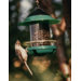 Chickadee Feeder