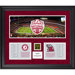 Alabama Crimson Tide Back to Back BCS National Champions Framed Mini Panoramic Collage