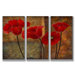 Poppies on Spice Triptych Wall Art