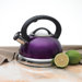 Alexa 3-qt. Whistling Tea Kettle