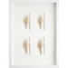 Spindle Shells Art