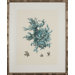 Turquoise Coral III Art