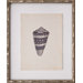 Mini Diderot Shell II Art