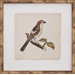 Mini Nozeman Bird II Art
