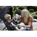 Stroller Fan