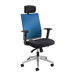 TMesh Managerial Chair with T-pad Arms and Headrest