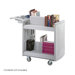 37" H Two Shelf Molded Book Cart