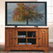 Visions 48" TV Stand