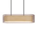 Puri 4 Light Pendant