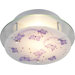 Novelty 2 Light Semi Flush Mount