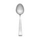 Stainless Steel Arctic Place Spoon