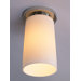 Nina 1 Light Semi Flush Mount