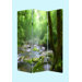 Meadows and Streams Screen