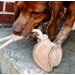 Baseball Dog Toy