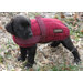 Quilted Dog Coat
