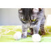 Wool Ball Cat Toy (Pack of 3)