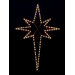 Large Star of Bethlehem