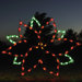 Large Poinsettia Light