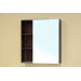 Langdon Bathroom Mirror Medicine Cabinet in Medium Walnut