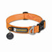 Hoopie� Dog Collar in Klickitat