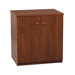 Elite 2-Door Cabinet