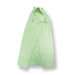 Terry Velour Green Frog Hooded Towel