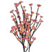 Cherry Blossom Light