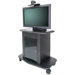 Plana Series 42" Tall Metal Plasma Cart - Holds a 42" Screen