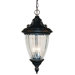 Waterloo Outdoor Chain Light