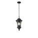 Dom Outdoor Pendant Lighting