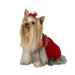 Velvet Dog Dress