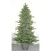 Prelit 9' Potted Trim Colorado Christmas Tree