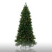 10' Prelit Shaped Charleston Pine Artificial Christmas Tree with Clear Lights