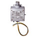 Thermostat and Snow Sensor Controller
