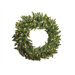 Prelit Camdon Wreath with Clear Lights